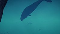 bilder/galerie/odyssey/AssassinsCreedOdyssey_ (19).jpeg